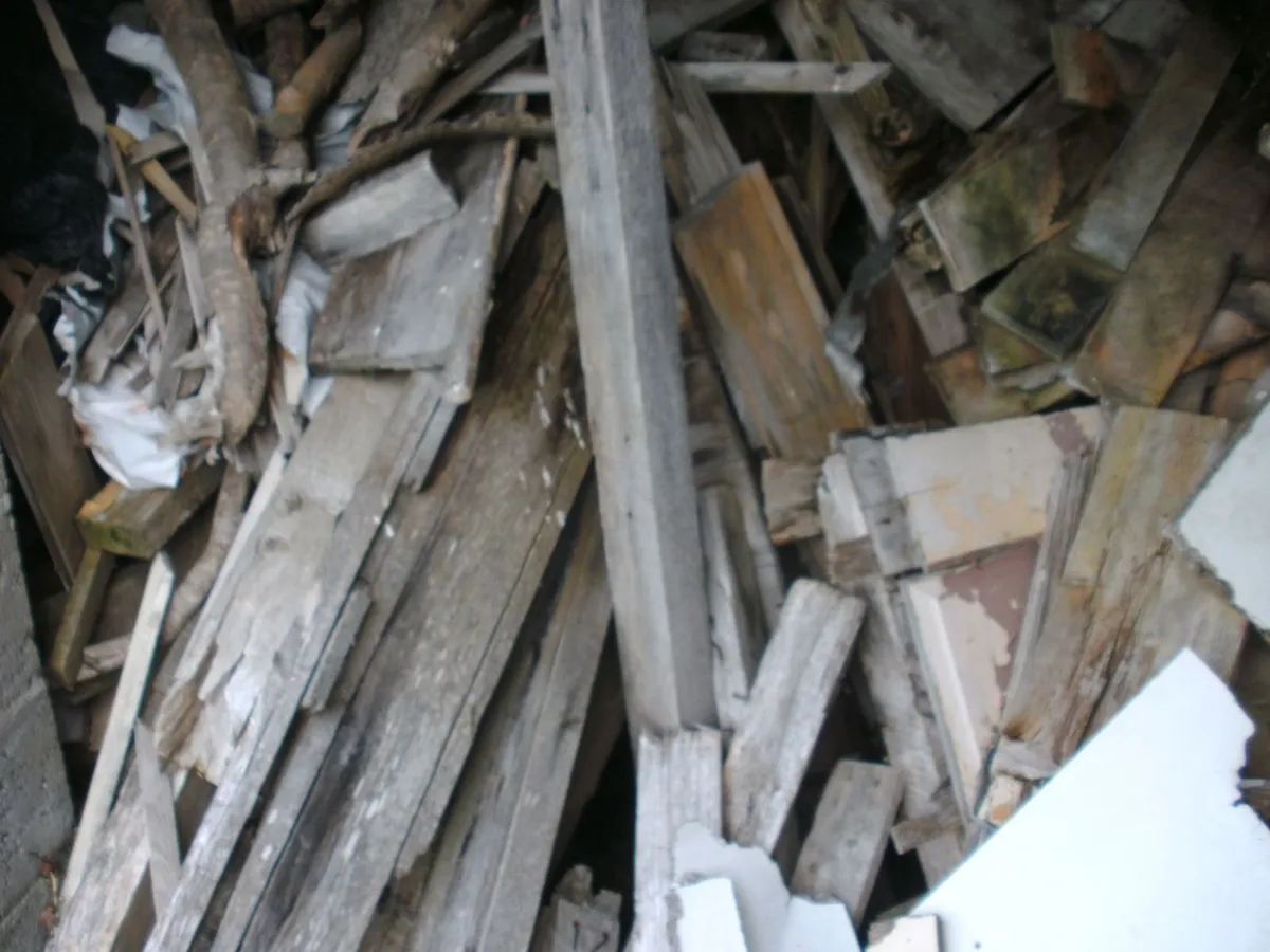 Timber for firing, Free to good home - Image 4