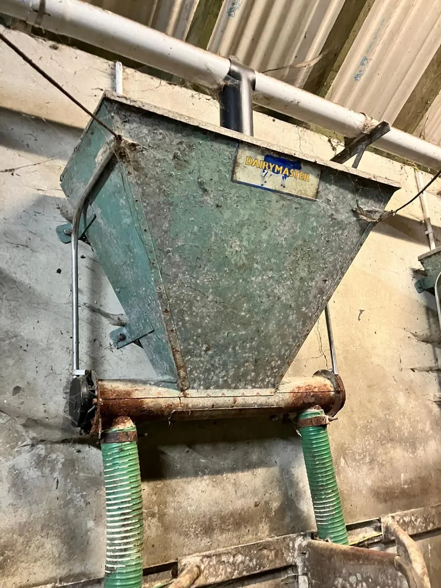 Parlour feeders - Image 3