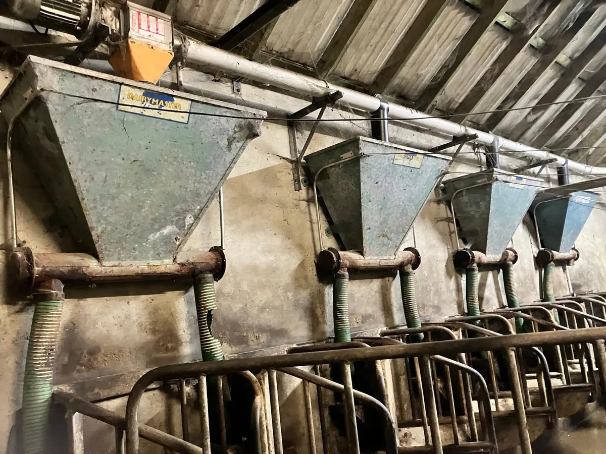 Parlour feeders - Image 2