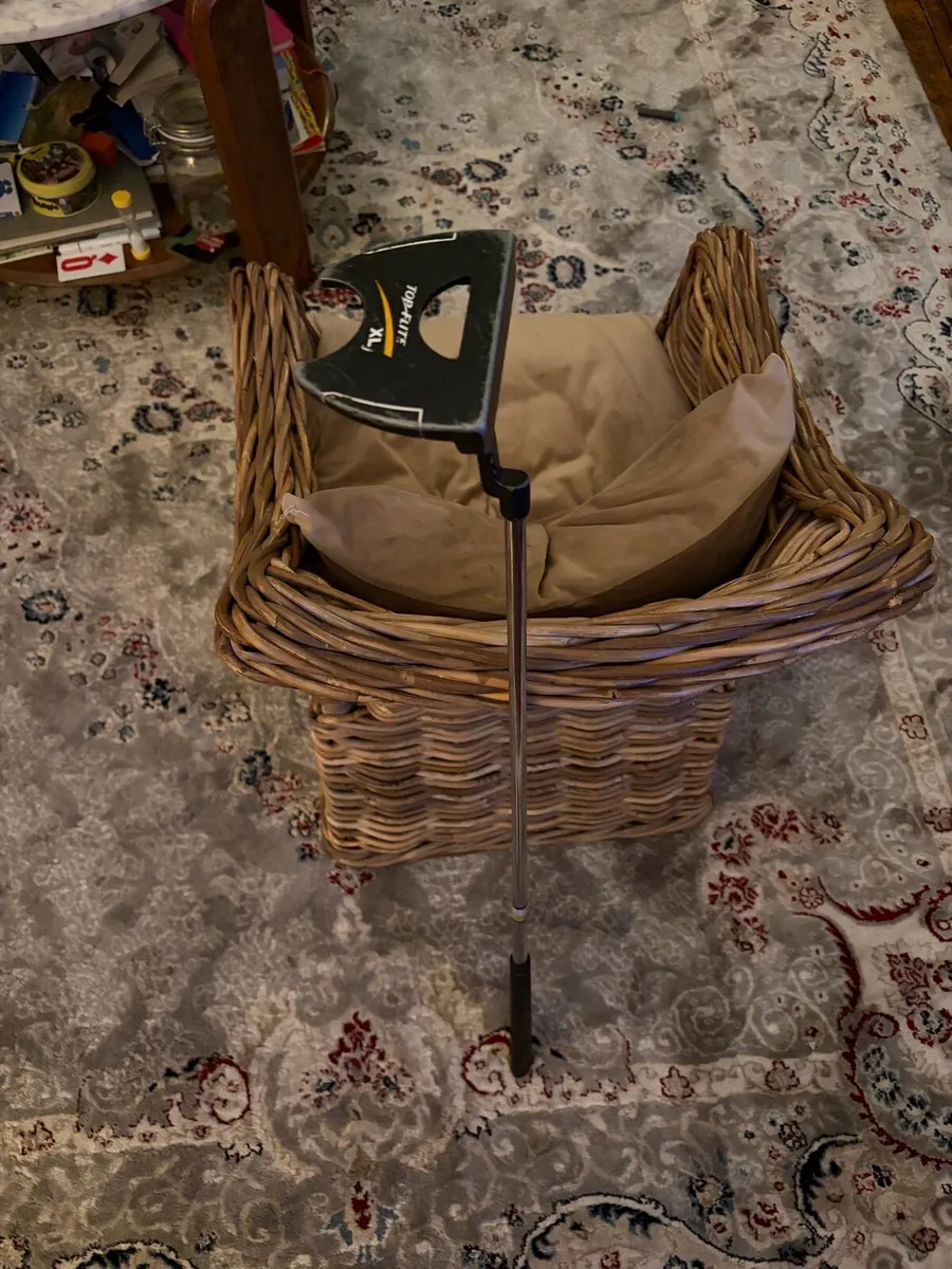 Kids putter - Image 1