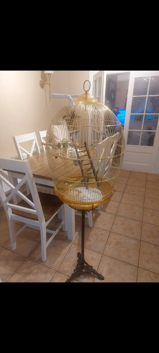 Birdcage and stand
