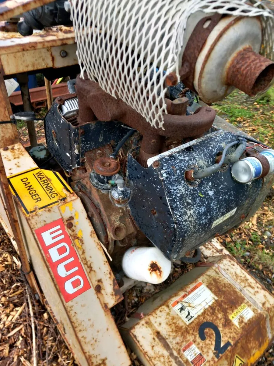 Yard clearance - Image 3