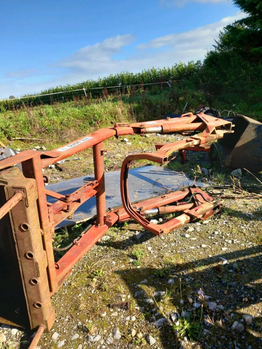 Yard clearance - Image 1