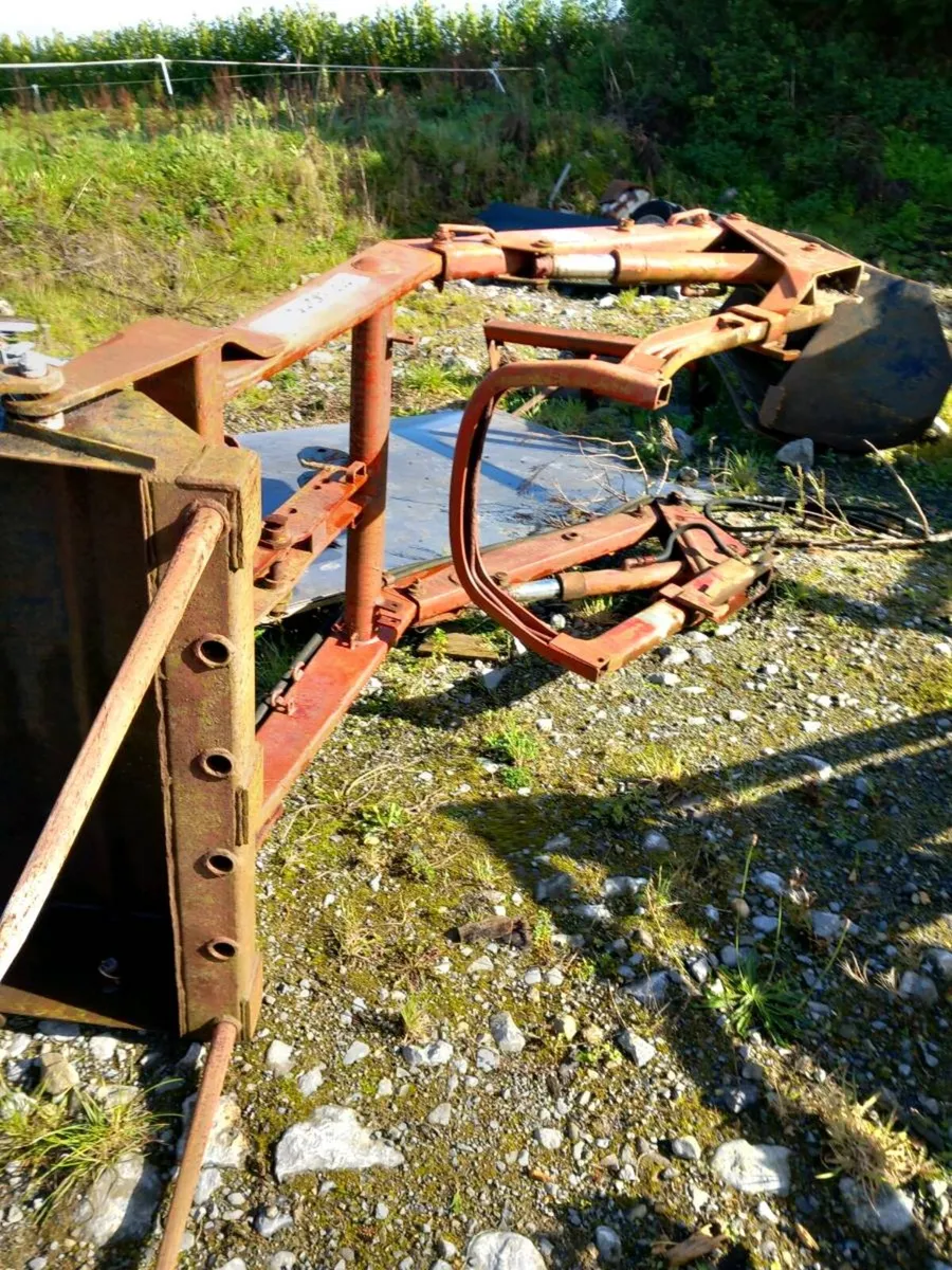 Yard clearance - Image 2