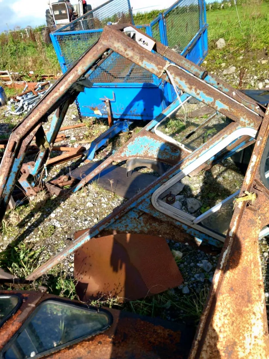 Yard clearance - Image 3