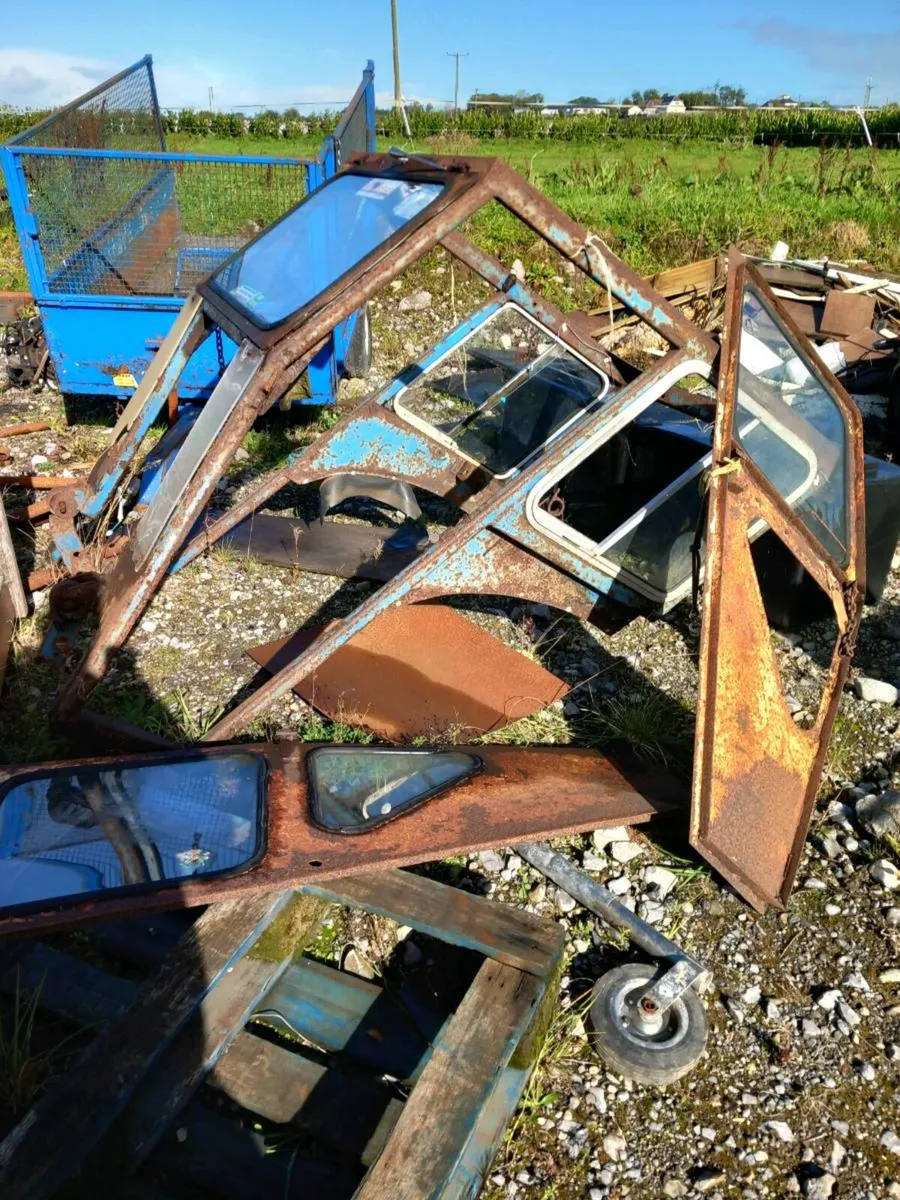 Yard clearance - Image 4