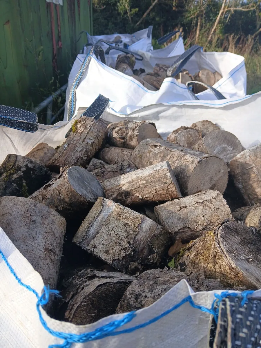 Ash firewood - Image 2