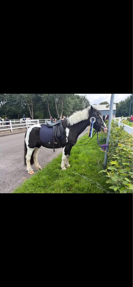 13.2 cob - Image 1