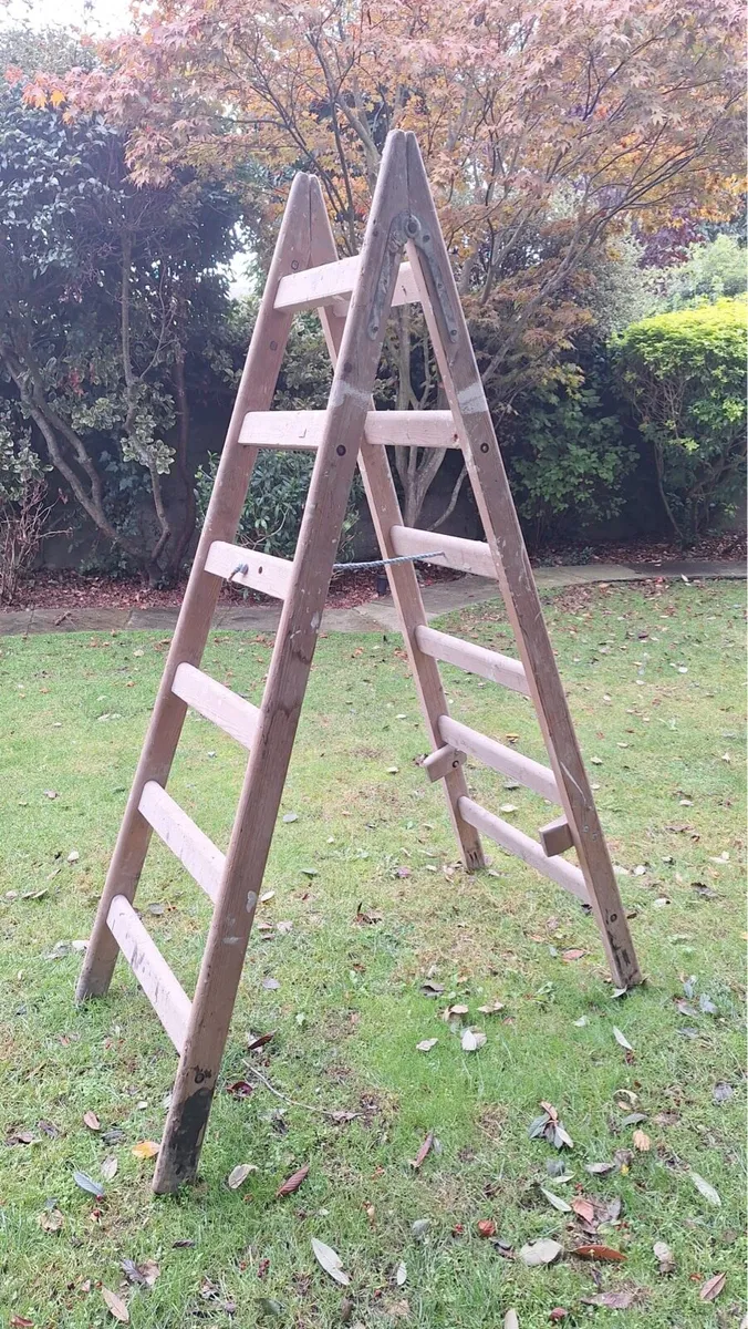 Ladder - Image 1