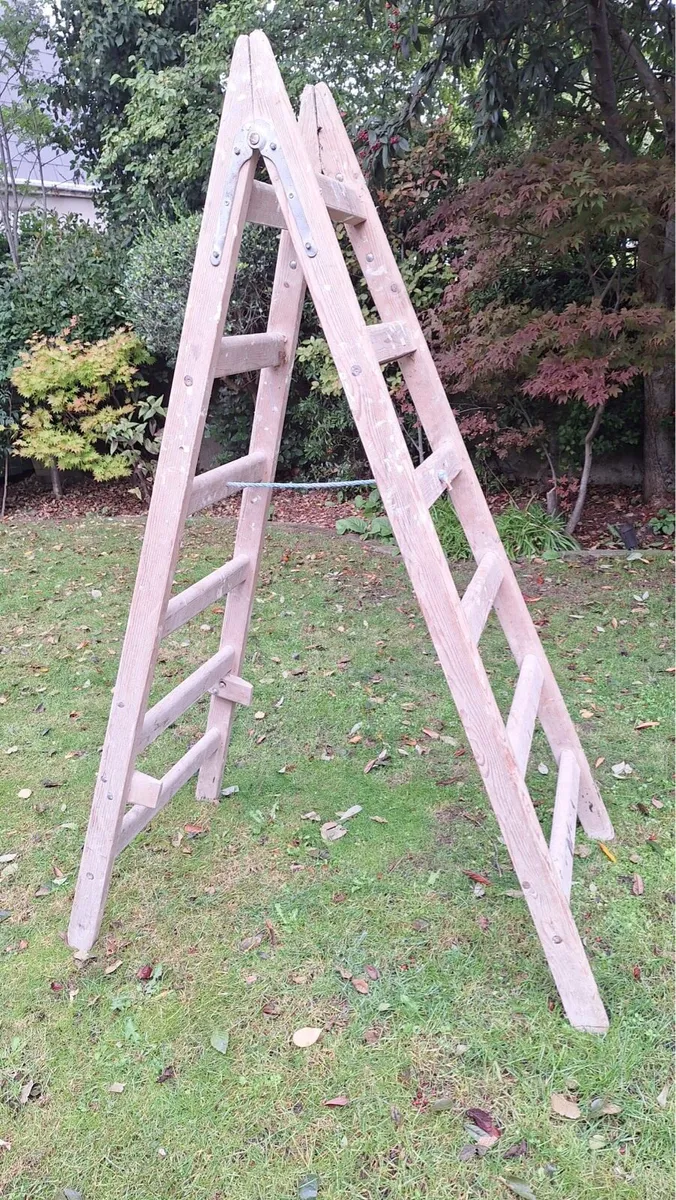 Ladder - Image 2