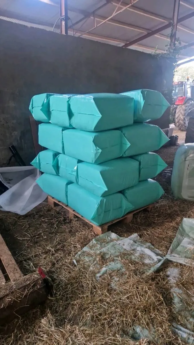 Bagged Ryegrass Haylage - Image 1