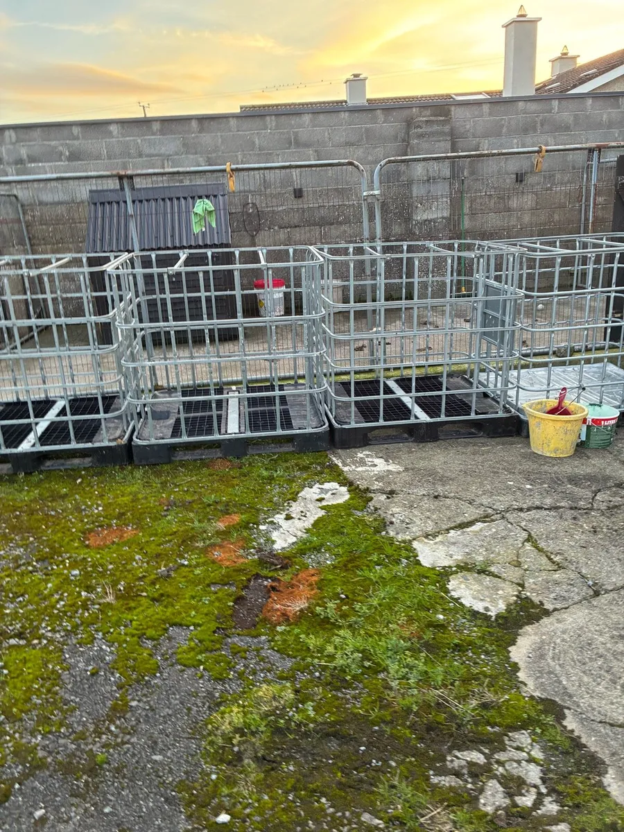 Ibc cages - Image 1