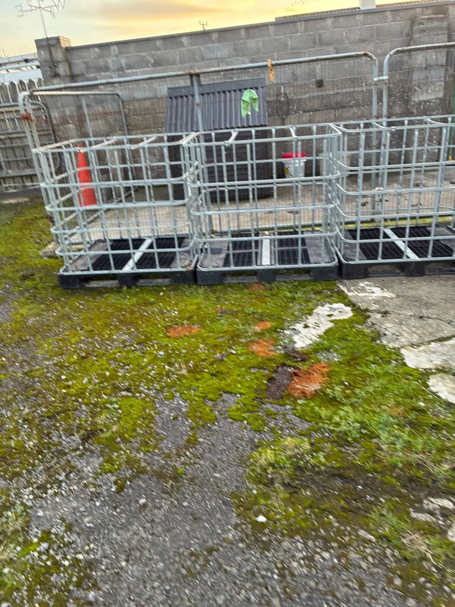 Ibc cages - Image 2