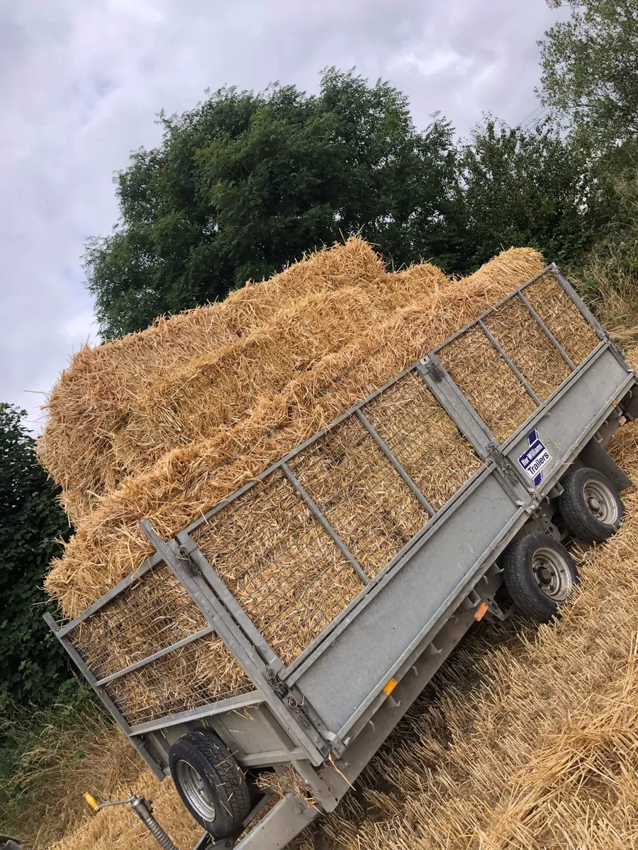 Small square straw and hay - Image 3