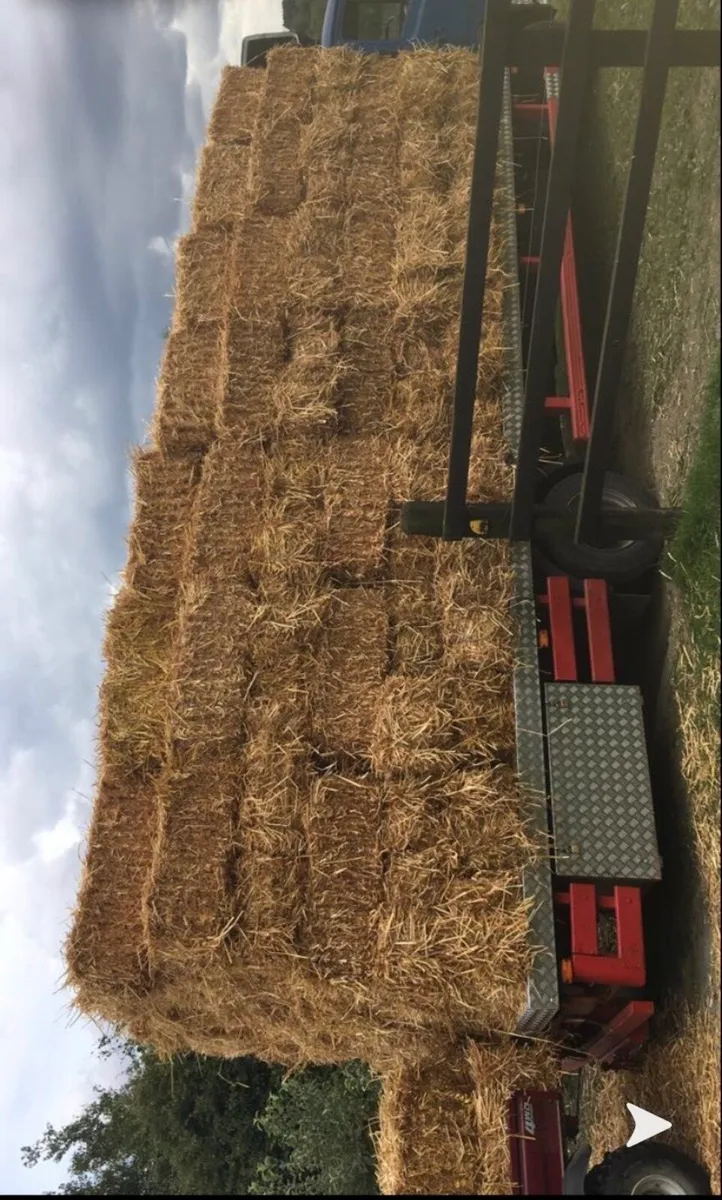 Small square straw and hay - Image 4