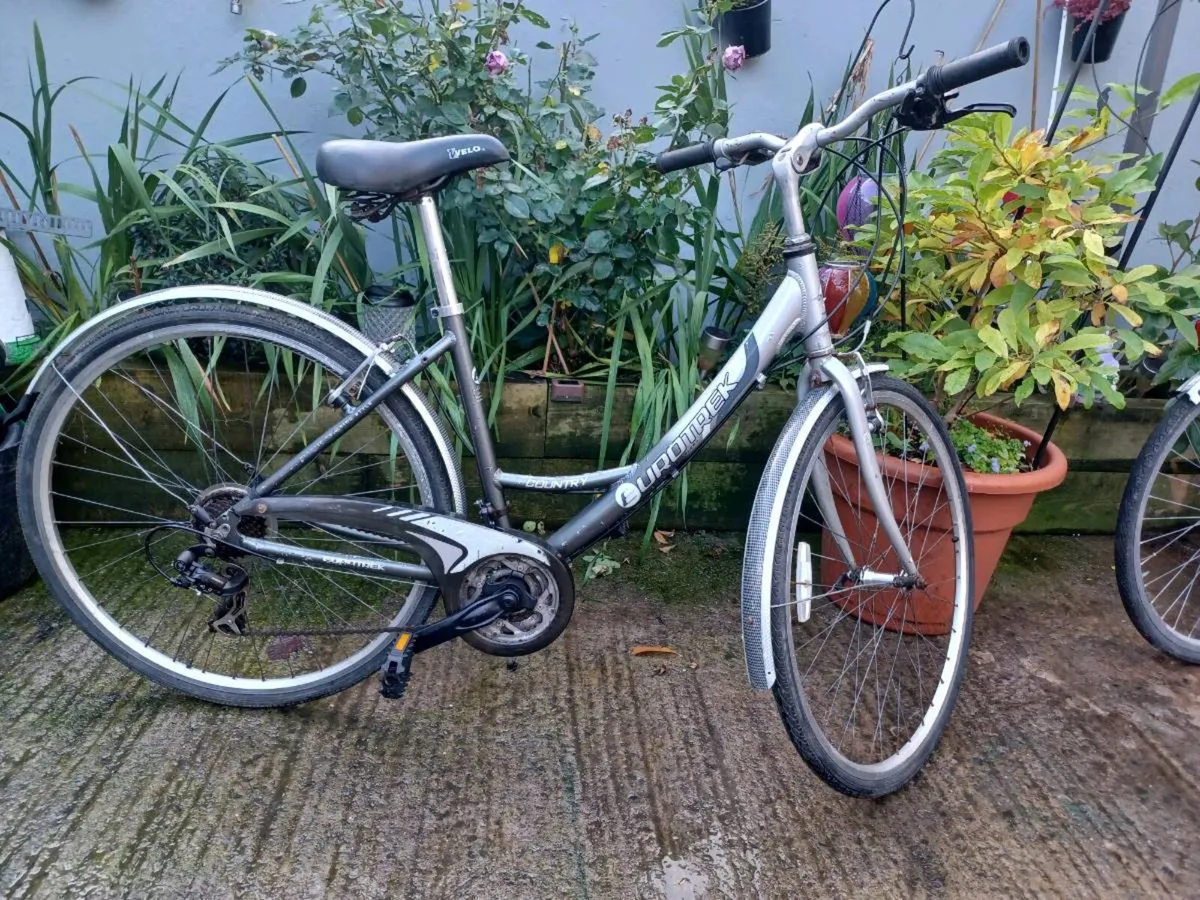 Eurotrek Woman's bike - Image 1