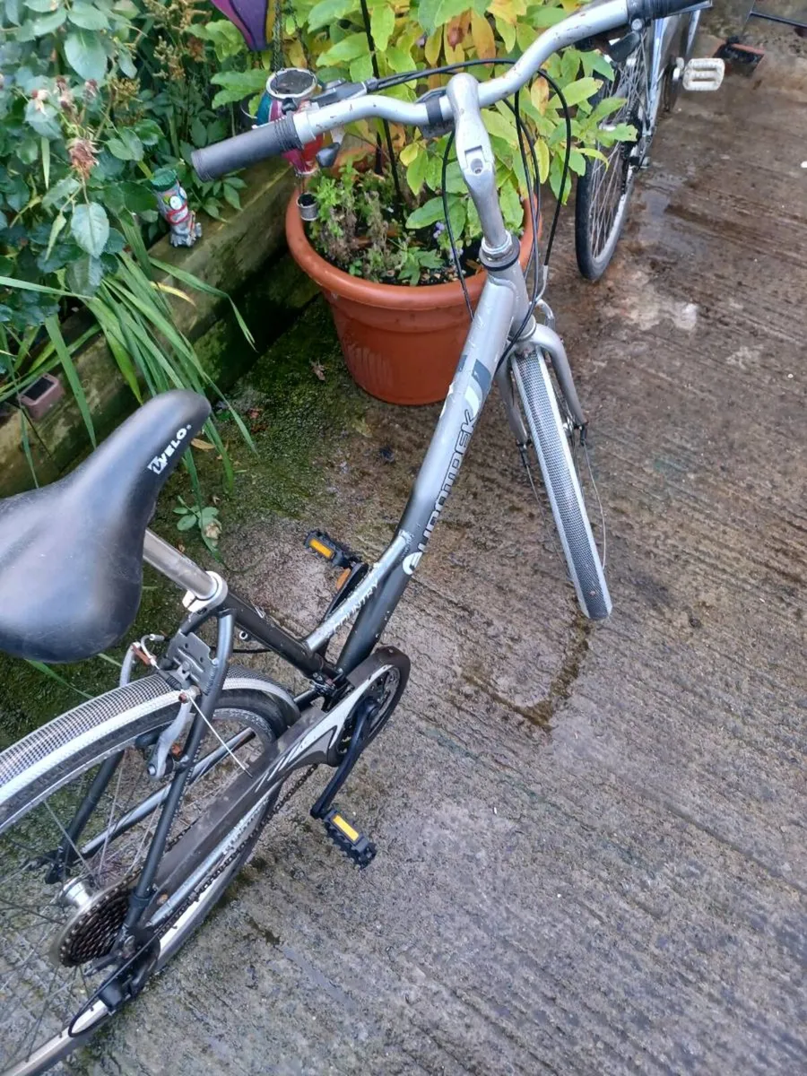 Eurotrek Woman's bike - Image 2