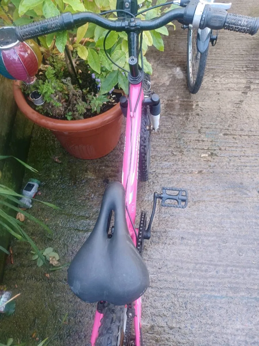 Power bike - Image 2