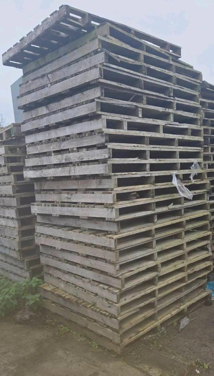 Pallets For Sale - Image 2
