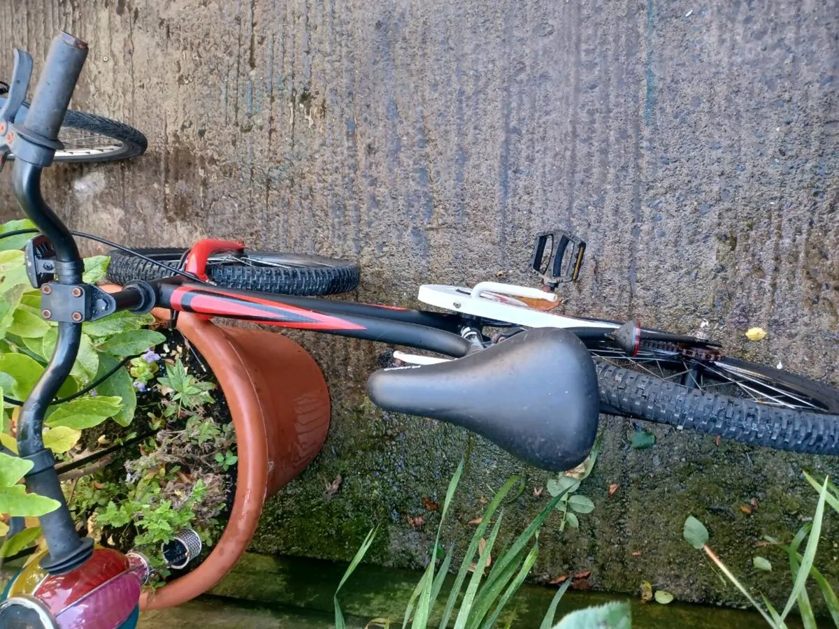 Chipmunk bike - Image 2