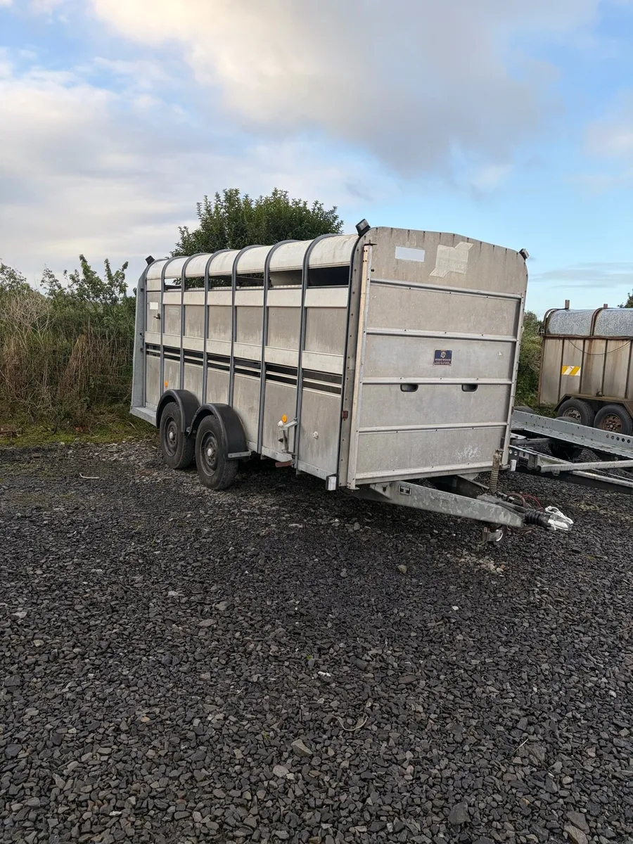 14ft Ifor Williams (choice of2)