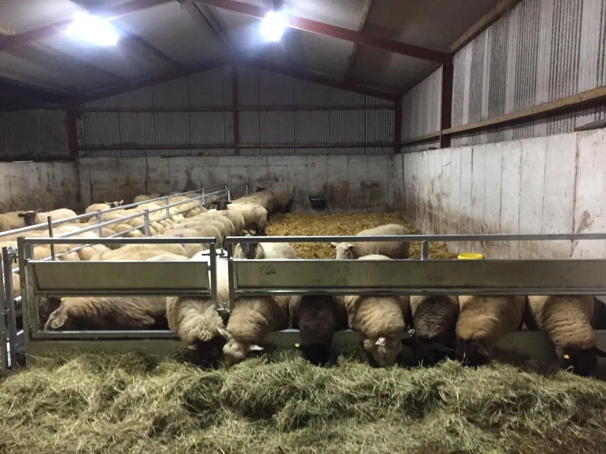 Feeding barriers , Bale feeders - Image 3