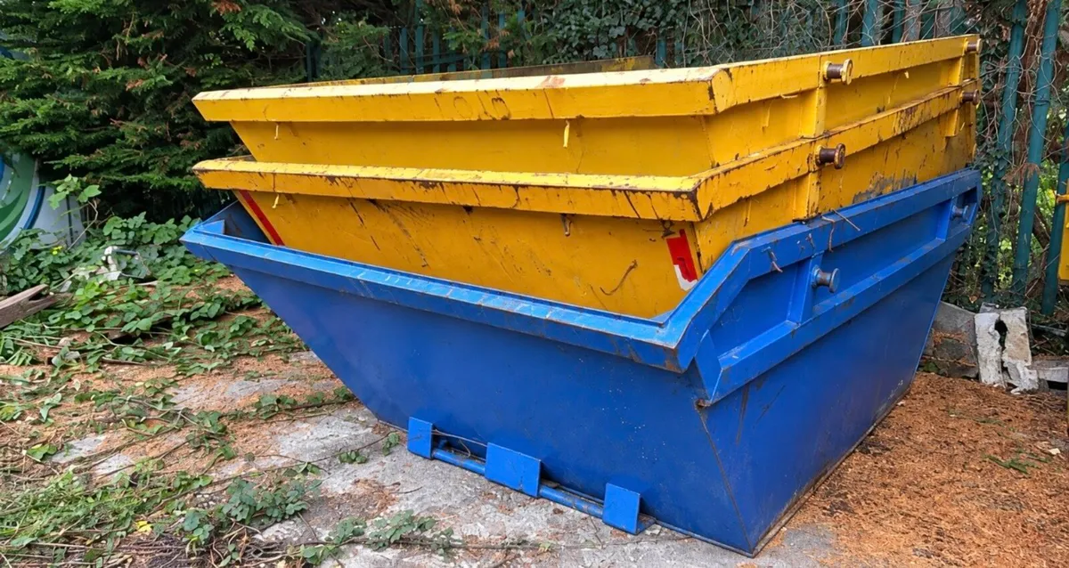 Skips - Image 1