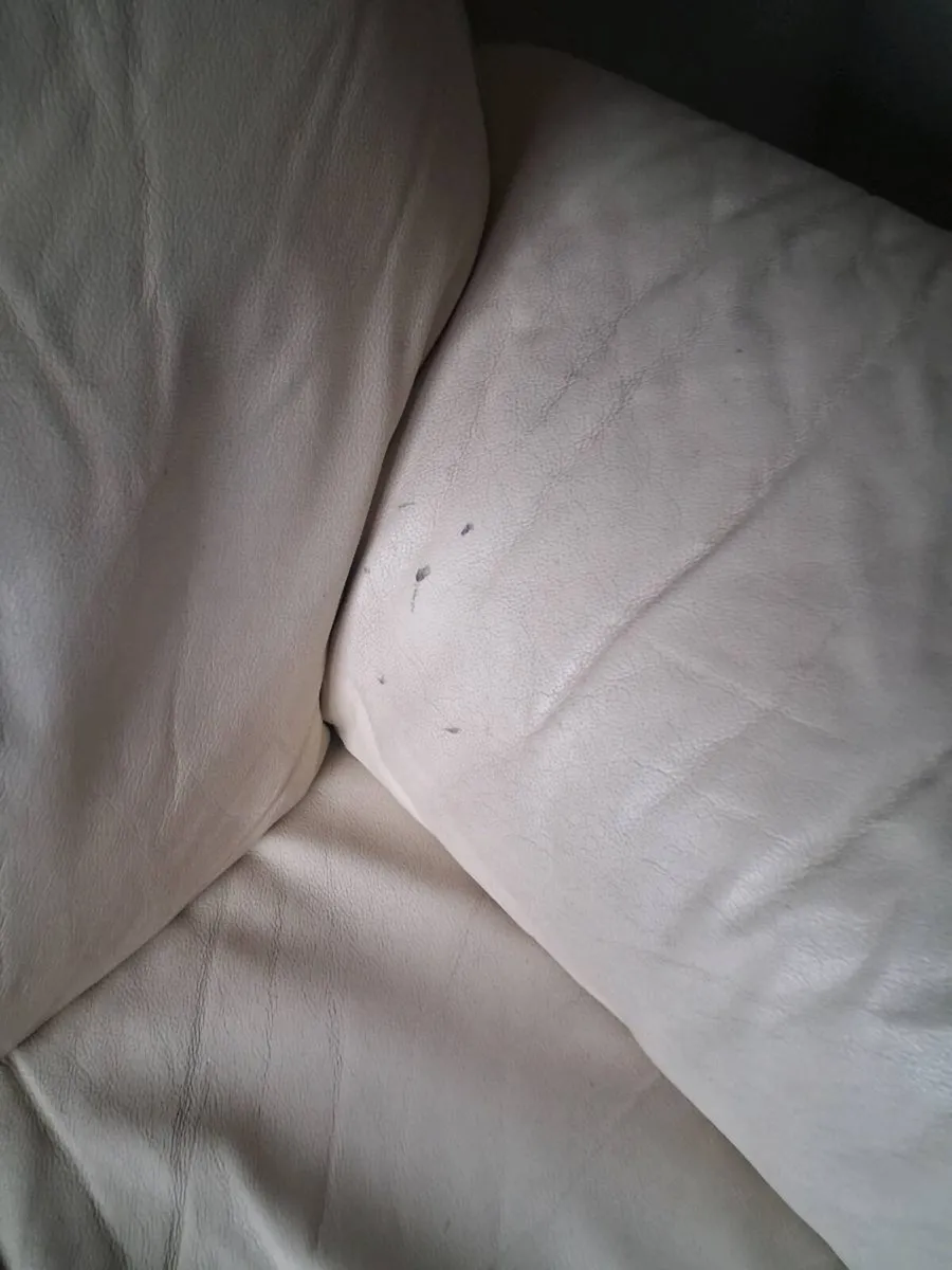 Sofa - Image 3