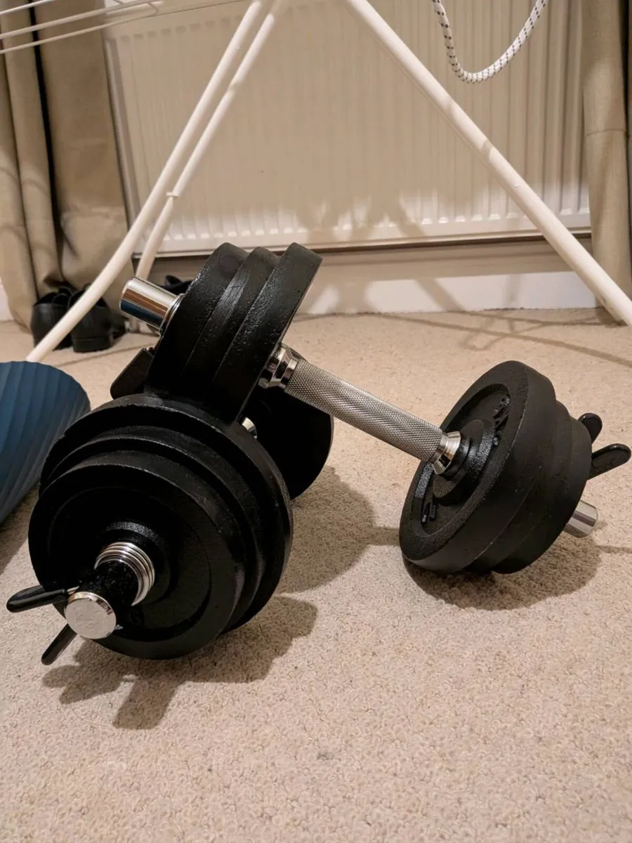 10 kg dumbbells - Image 1
