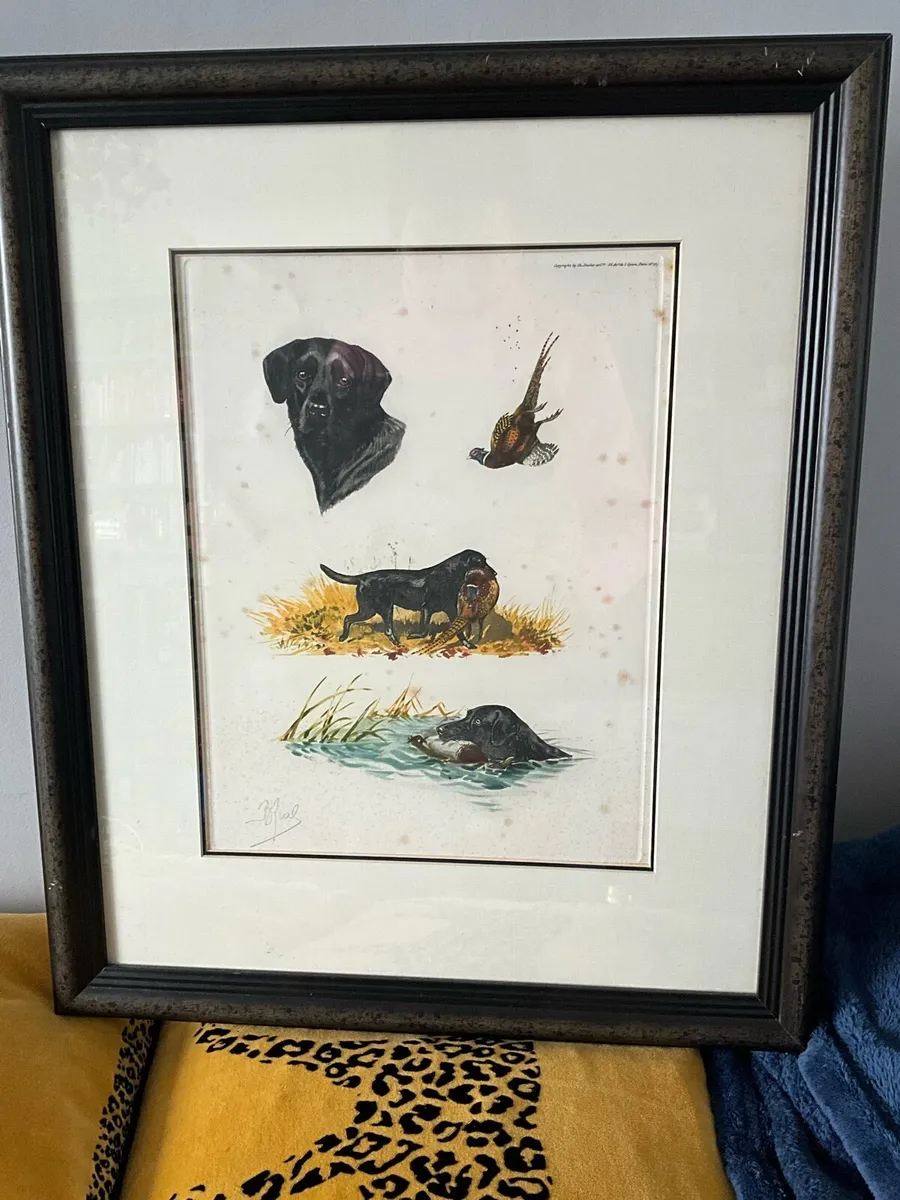 Labrador Hunting Pheasant by Artist Boris Riab - Image 3