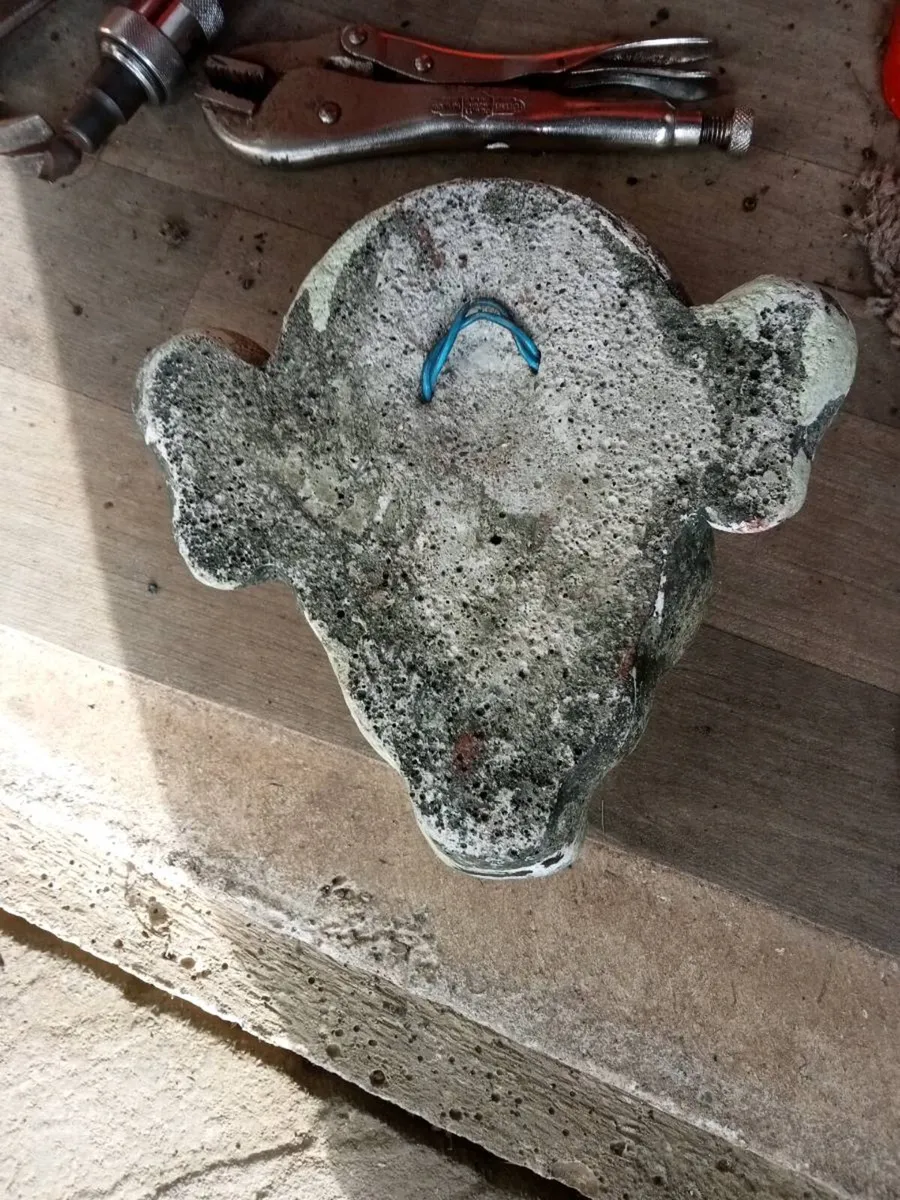 Old gargail head - Image 2