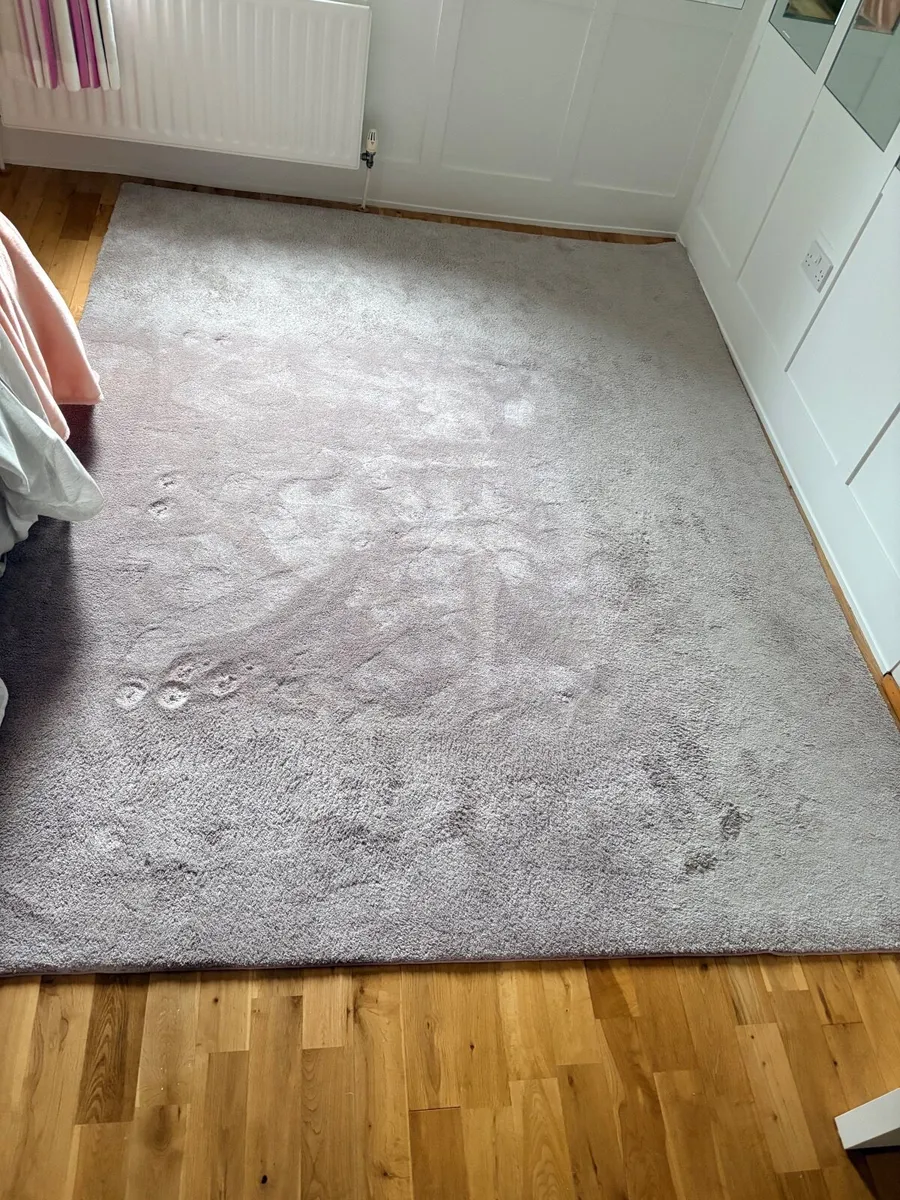 Large Rug 274x214cm - Image 2