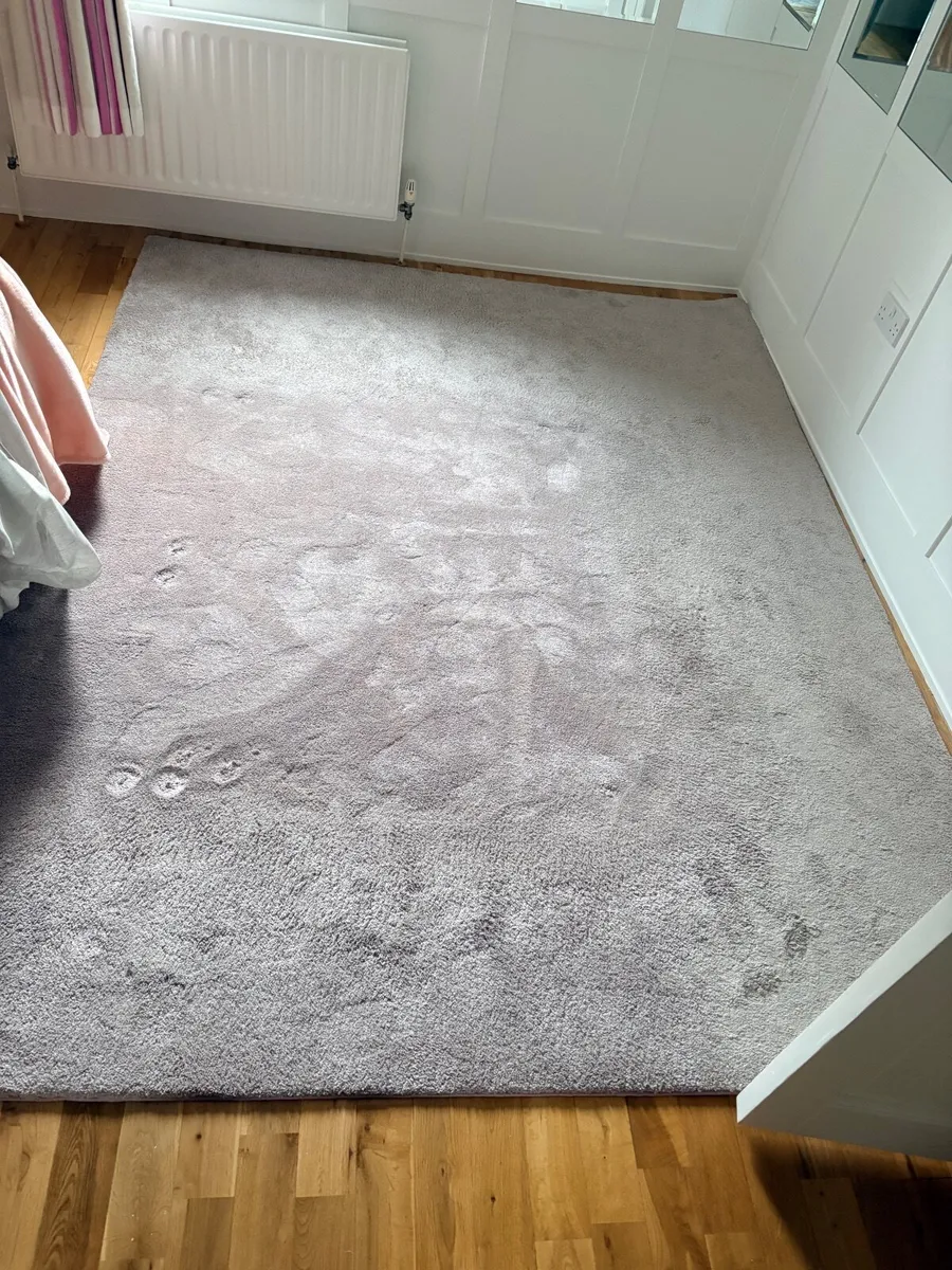 Large Rug 274x214cm - Image 3