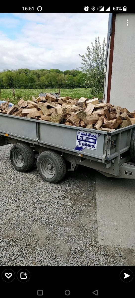Firewood - Image 1