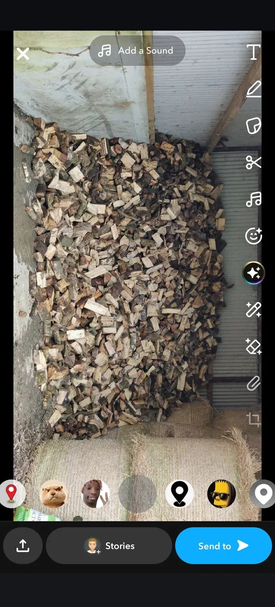 Firewood - Image 2