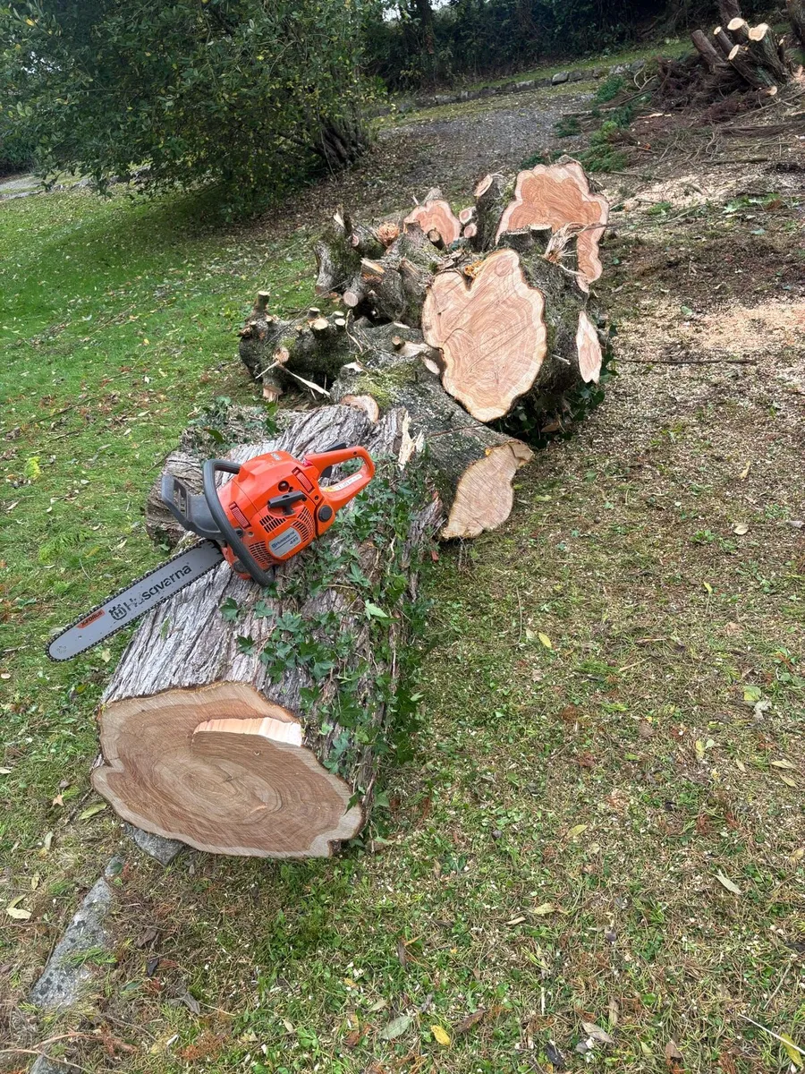 Timber fire wood - Image 1