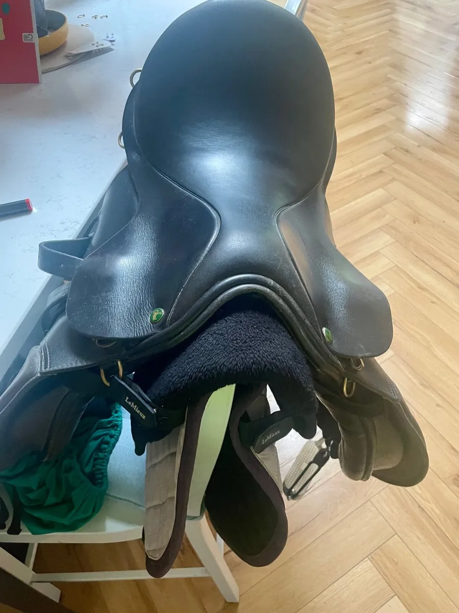 Saddle - Image 1