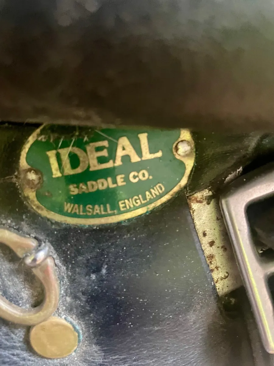 Saddle - Image 3
