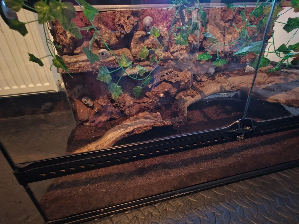 Exo terra vivarium large - Image 4