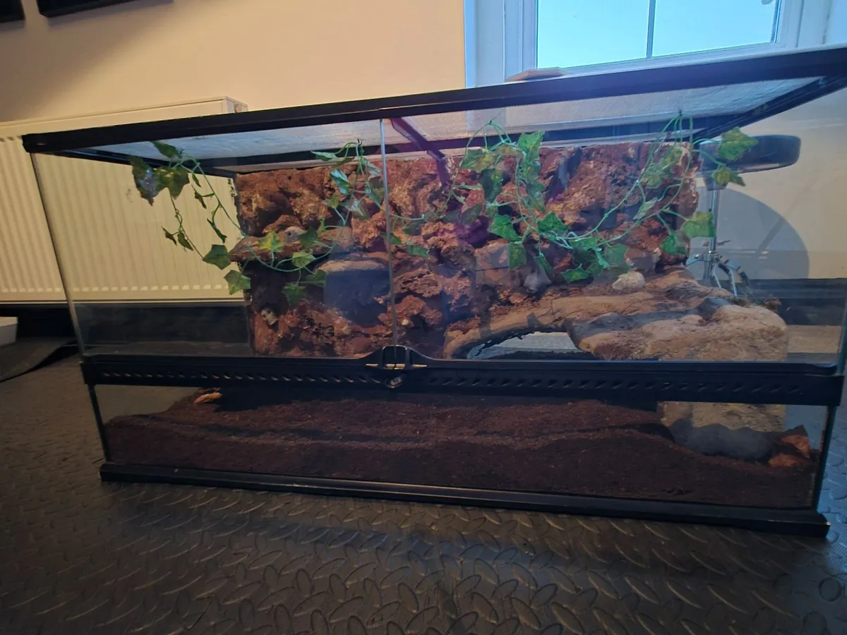Exo terra vivarium large - Image 1