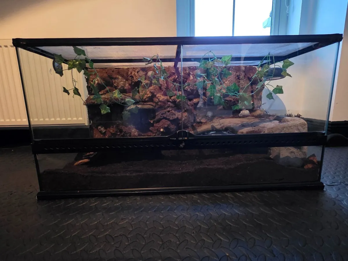 Exo terra vivarium large - Image 2