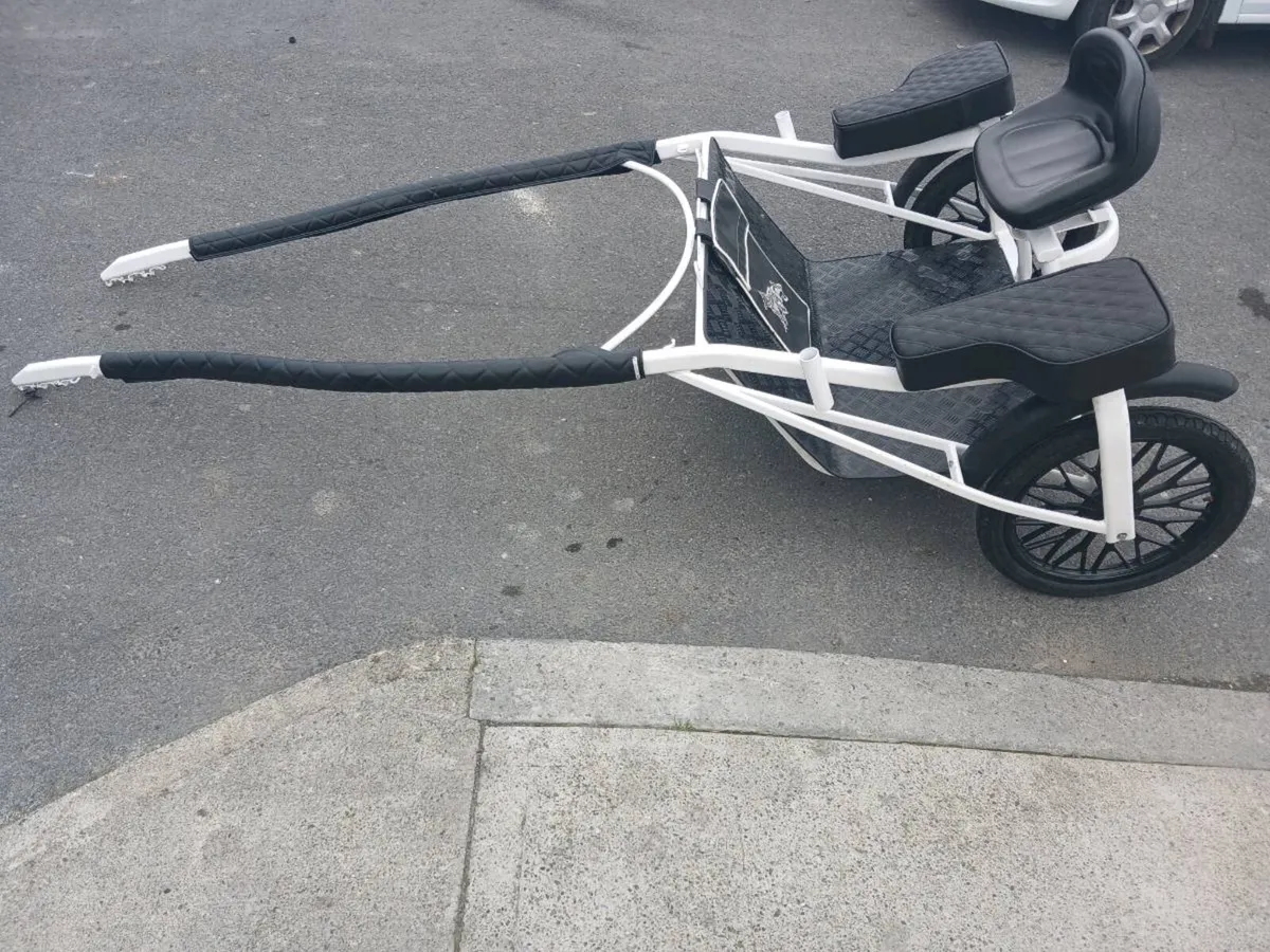 Cart - Image 1