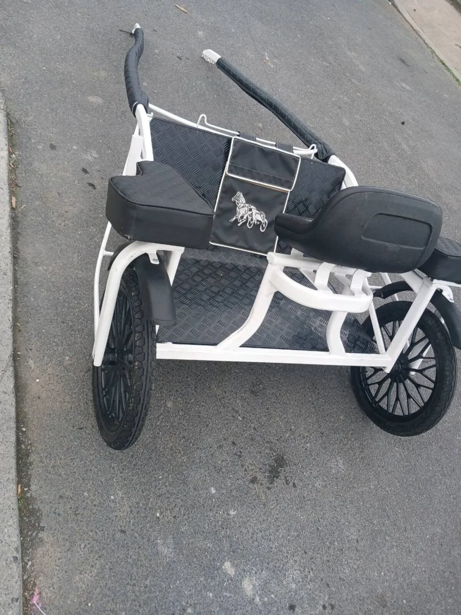 Cart - Image 3