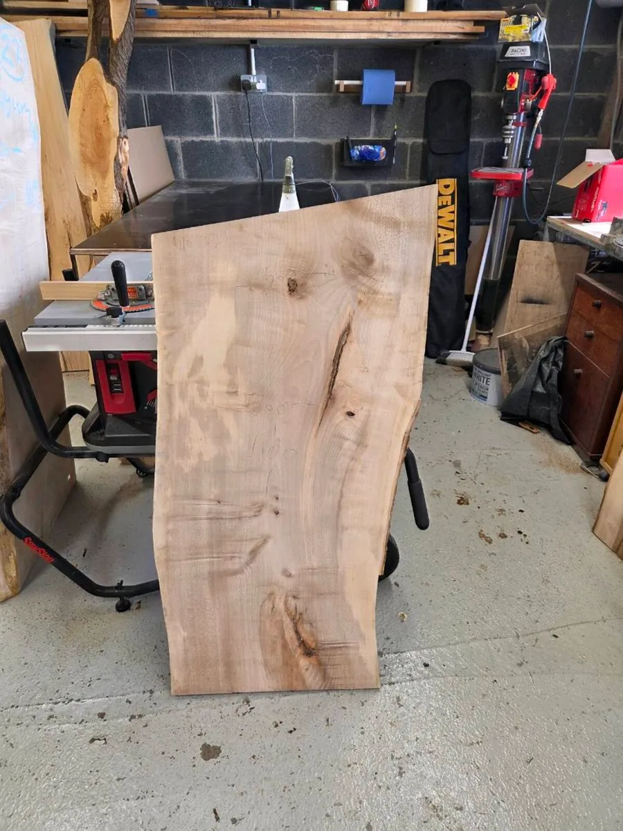 Live edge sycamore slab - Kiln Dried - Image 3