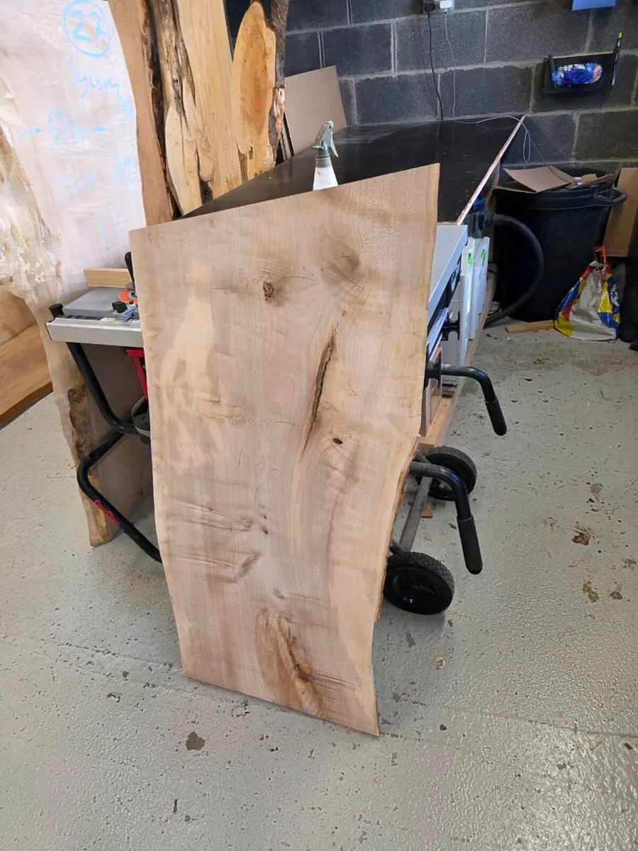 Live edge sycamore slab - Kiln Dried - Image 4