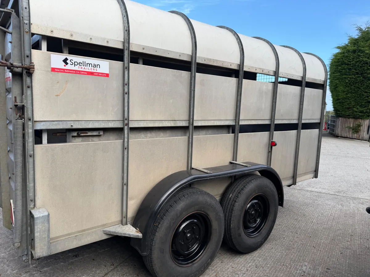 Nugent livestock trailer - Image 3