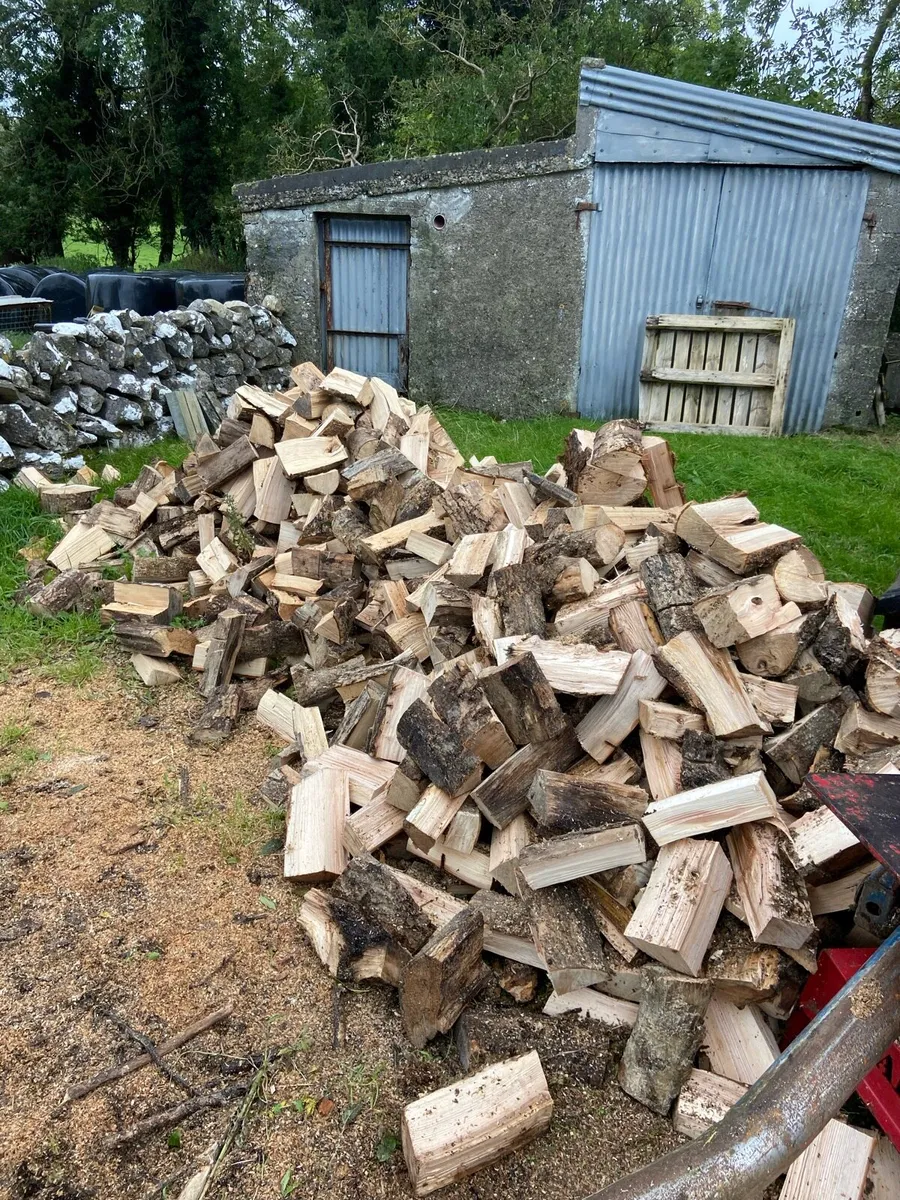 Ash firewood - Image 3