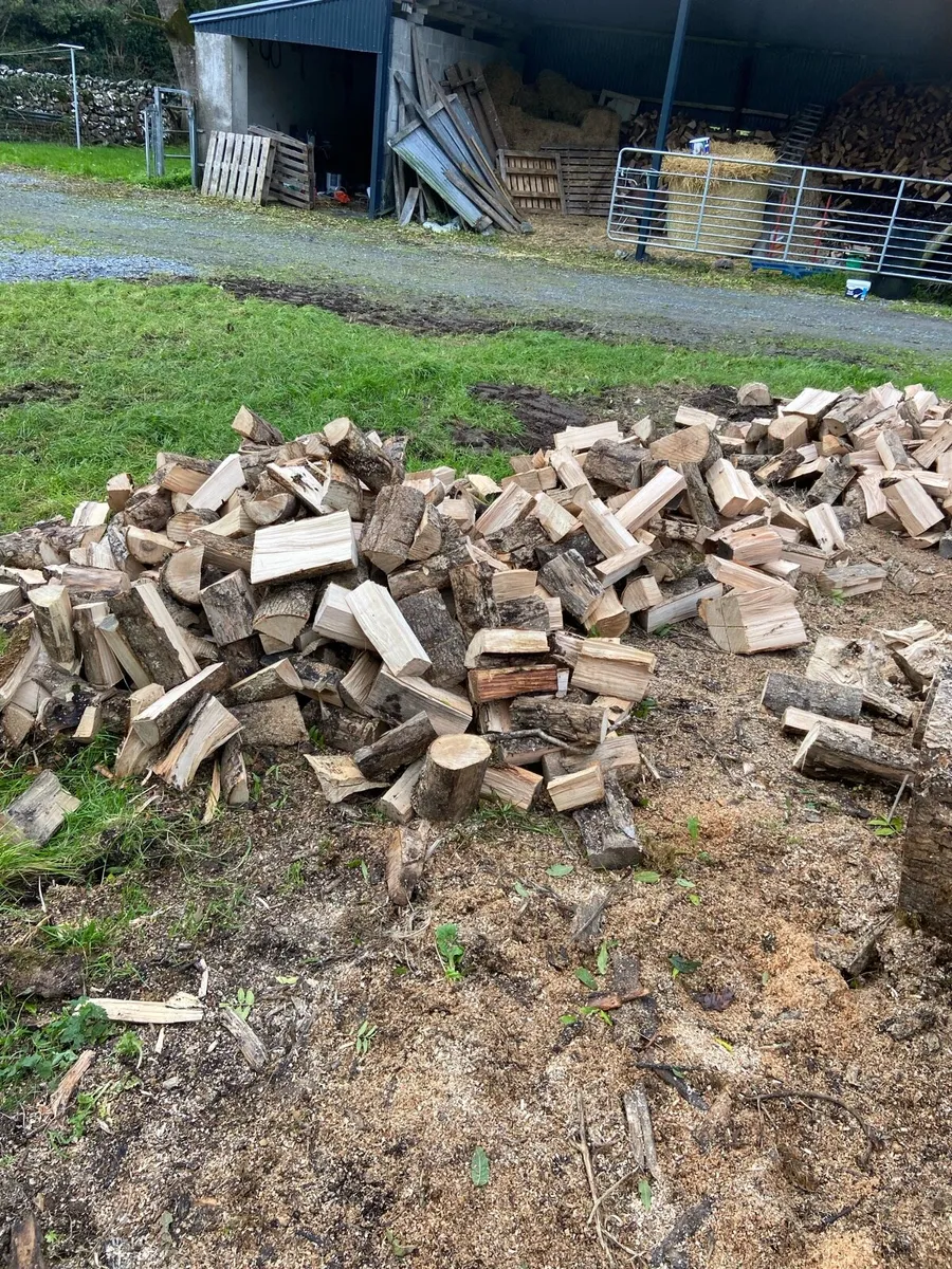 Ash firewood - Image 1