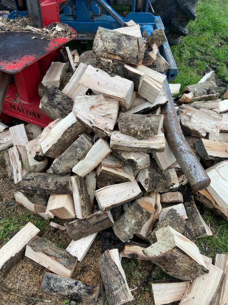 Ash firewood - Image 2