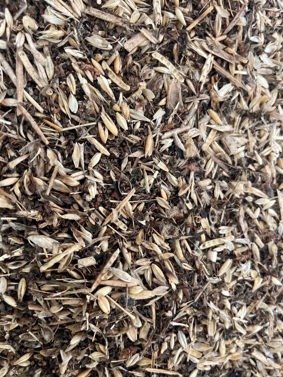 Free poultry feed / pig feed - organic - Image 1